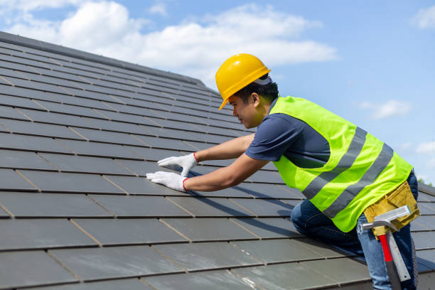 Emergency Roof Repair in Dover, FL